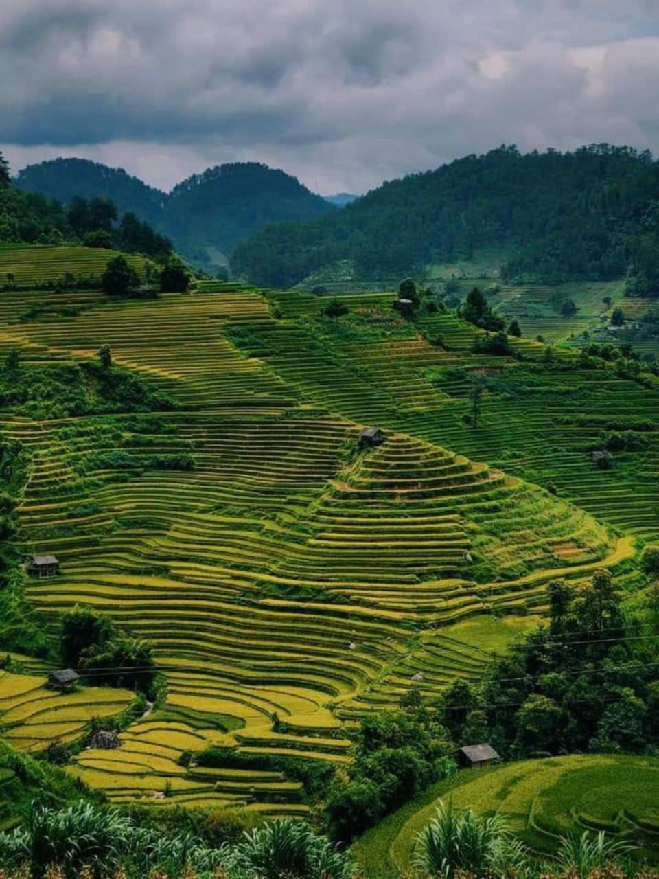 Mu Cang Chai Eco Home Zewnętrze zdjęcie