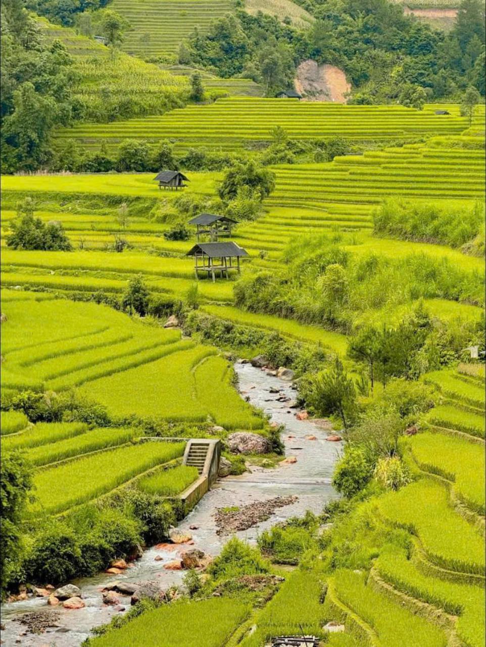 Mu Cang Chai Eco Home Zewnętrze zdjęcie