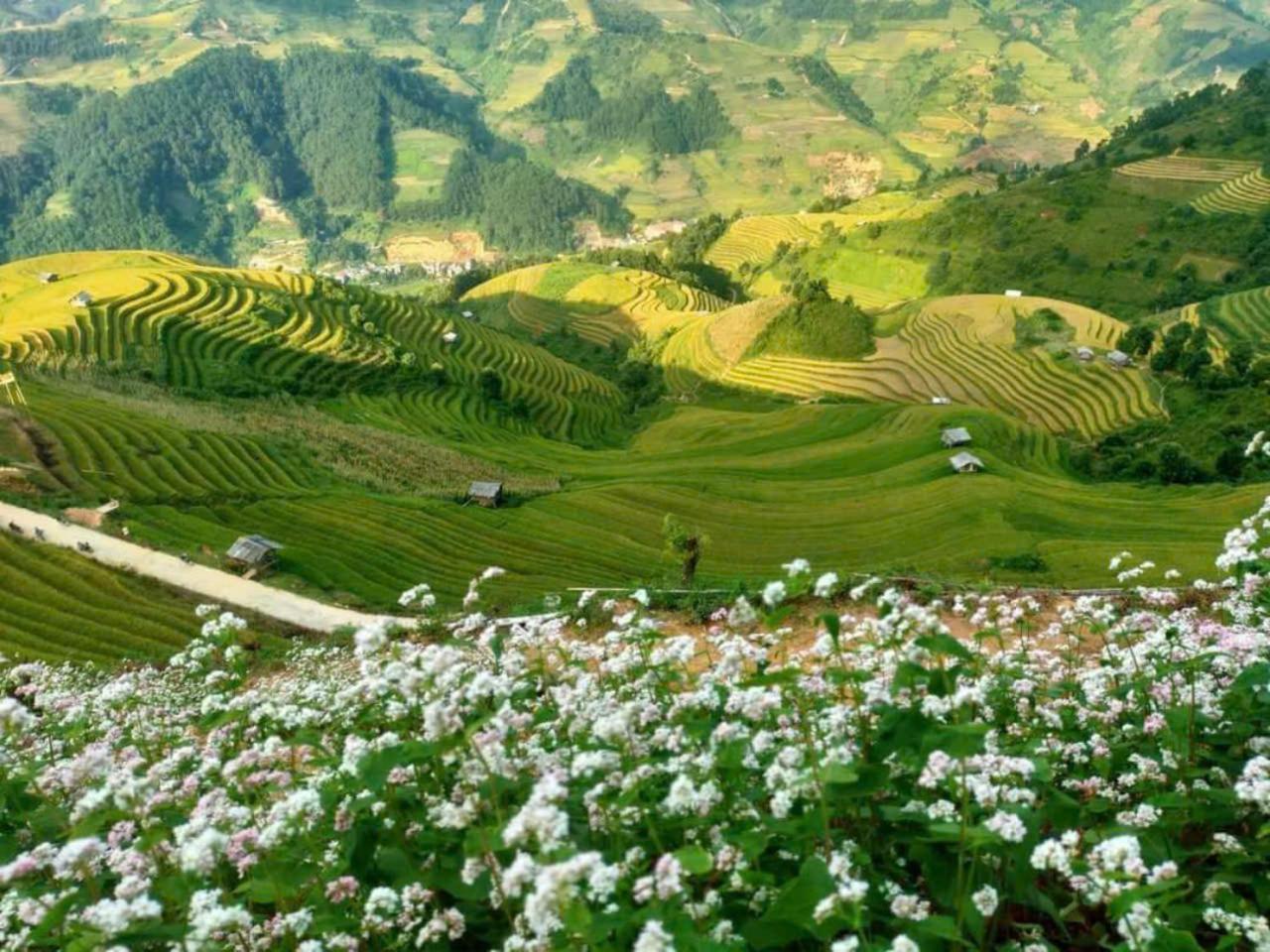 Mu Cang Chai Eco Home Zewnętrze zdjęcie