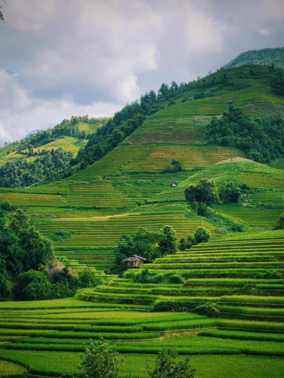 Mu Cang Chai Eco Home Zewnętrze zdjęcie