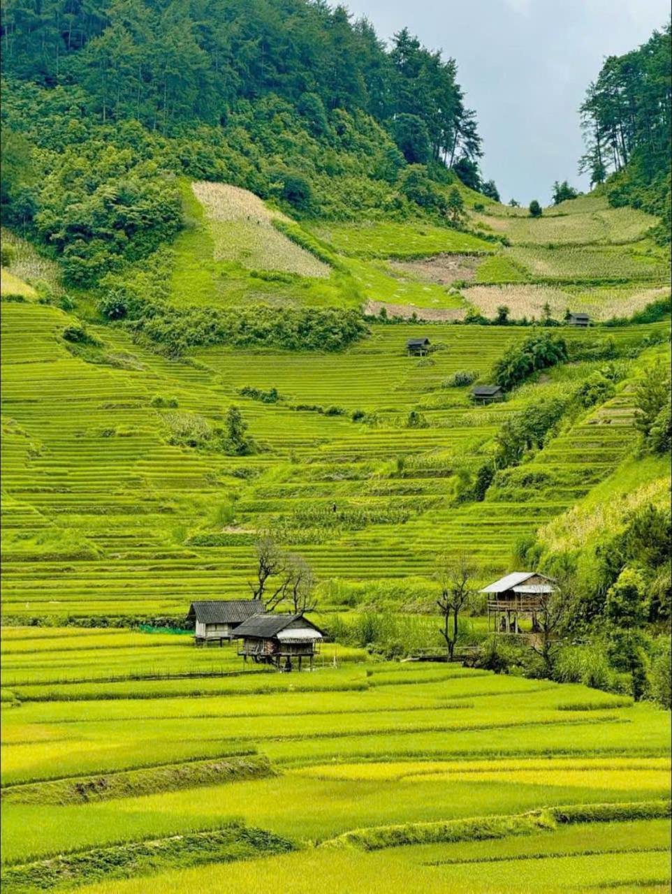Mu Cang Chai Eco Home Zewnętrze zdjęcie
