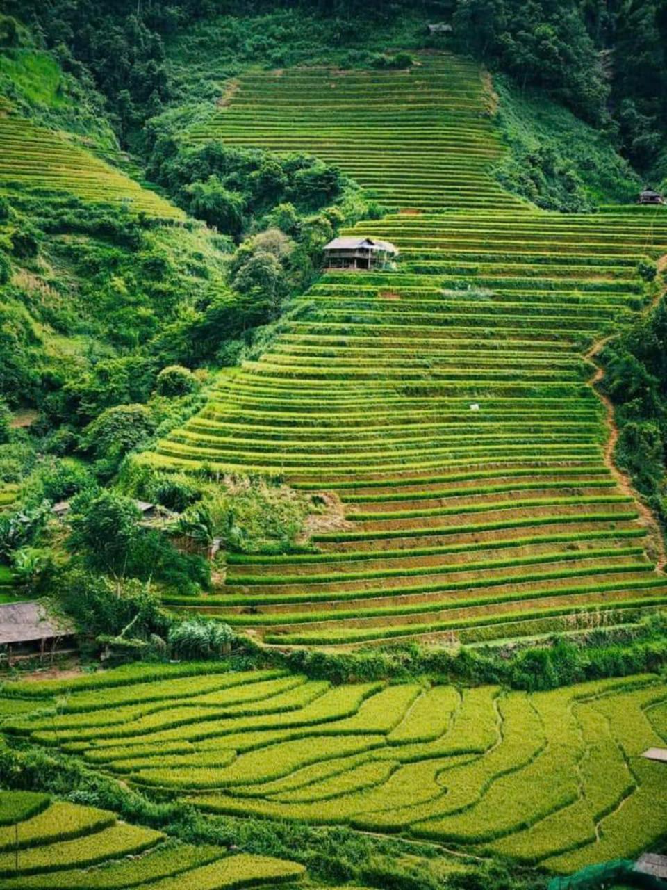 Mu Cang Chai Eco Home Zewnętrze zdjęcie